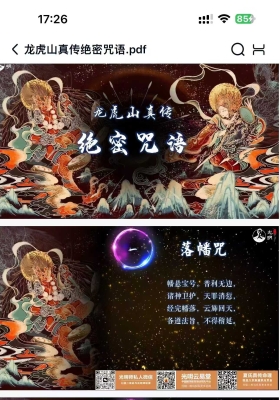龙虎山真传绝密咒语66个咒语￥5