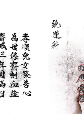 《绕莲科》💰5