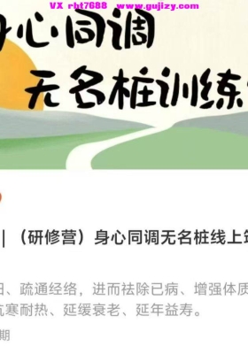 田祝均（研修营）身心同调无名桩线上筑基班视频课💰5