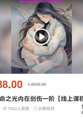 【疗愈】凡默 启动生命之光内在创伤一阶 视频21节💰5