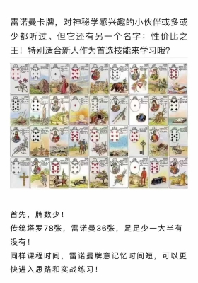 极星灵光歆慧·2023年雷诺曼训练营「约12h」💰5