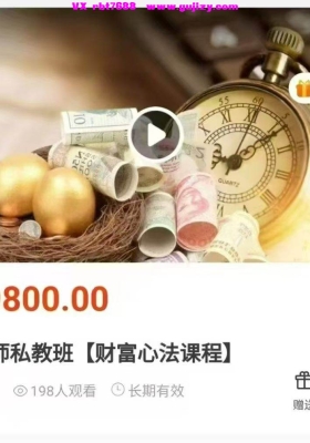 凡默疗愈师私教班财富心法课程7集视频课💰5