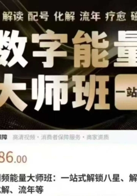 【数字调频】 数字调频能量大师班：一站式解锁八星、解读、配号、化解、流年 视频50集