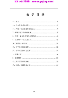 《神霄派内功雷法》💰5