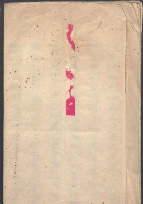 《批李氏家族墓地风水》民国七年陈燮坤本💰5