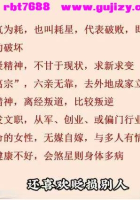 知易而行紫匍老师紫微斗数入门全套视频20集💰5