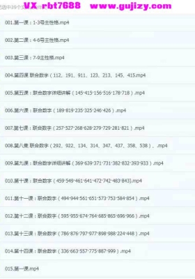 吕老师【心泉数字密码-视频课】完整版39集视频课💰5