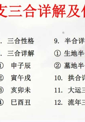 赵之君《技法--地支三合详解及化解》💰5