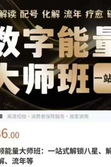 数字能量数字调频能量大师班50集视频  ￥10