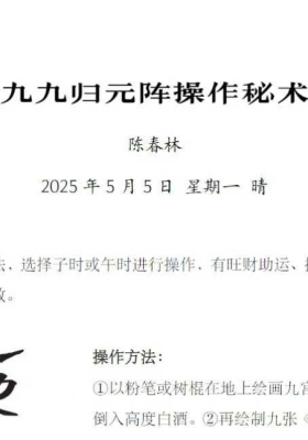 陈春林 九九归元阵操作秘术￥5
