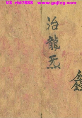 《治龙炁》💰5