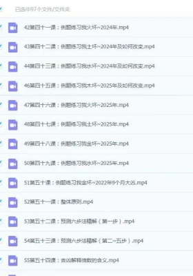 《孙真坤复训旺运视频课97集缺第45集》💰5