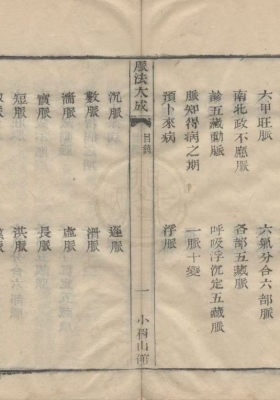 《脉法大成》严洁、施雯、洪炜合撰💰10