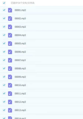 【运气】王通如何改变命运和运气一百多集音频合集💰5