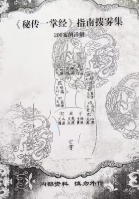 《秘传一掌经》指南拨雾200案例集💰5