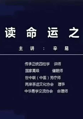 传承殿辛易老师 八字系列课程初级6集+中阶10集视频课 ￥5