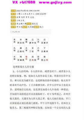 墨芳然文化奇门遁甲案例第一册24页+大六壬案例 128页💰5